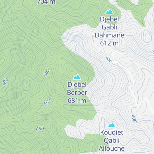 Map of Djebel Berber