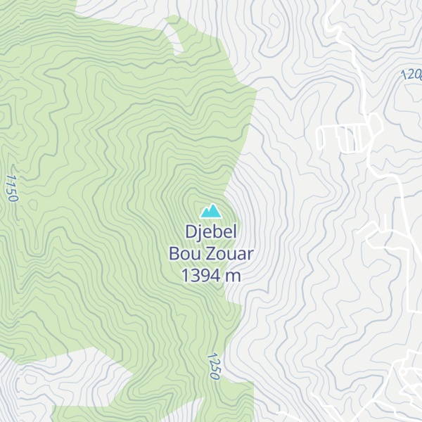 Map of Djebel Bou Zouar