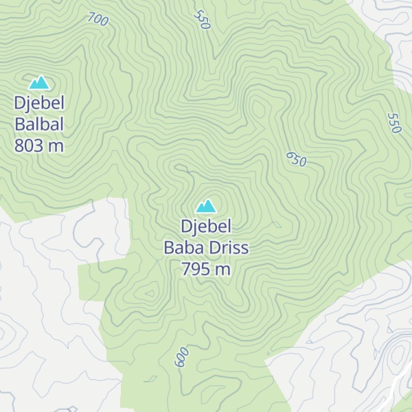 Map of Djebel Baba Driss