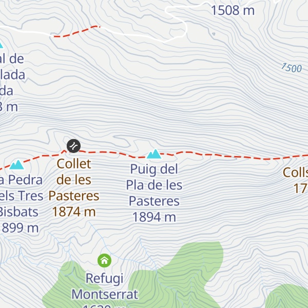 Map of Puig del Pla de les Pasteres