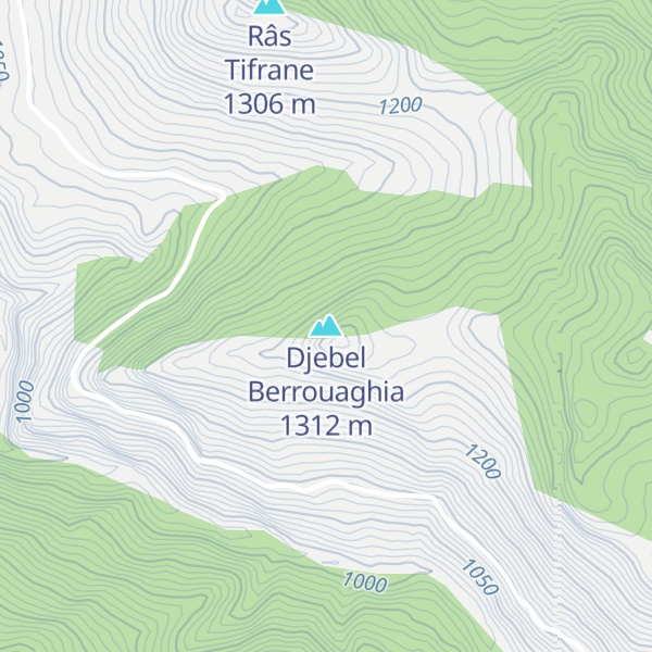 Map of Djebel Berrouaghia