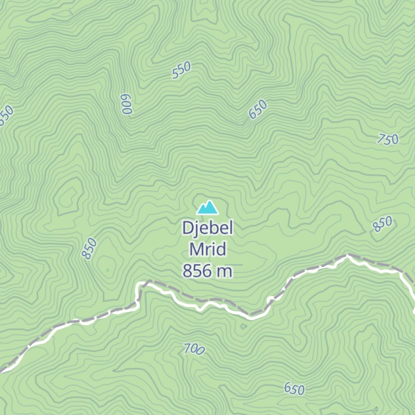 Map of Djebel Mrid