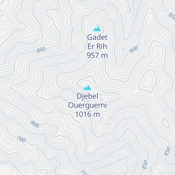 Map of Djebel Ouerguemi