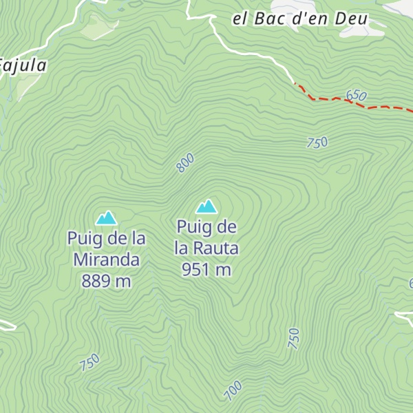 Map of Puig de la Rauta