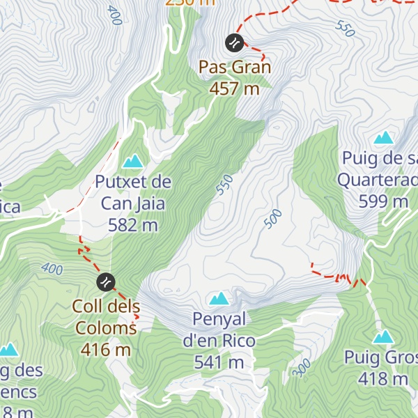 Map of Puig de ses Planes d'en Verd