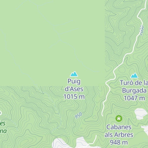 Map of Puig d'Ases