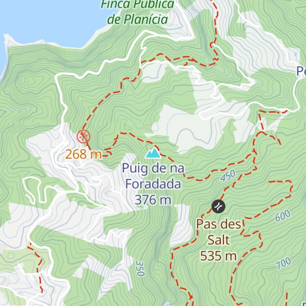 Map of Puig de na Foradada