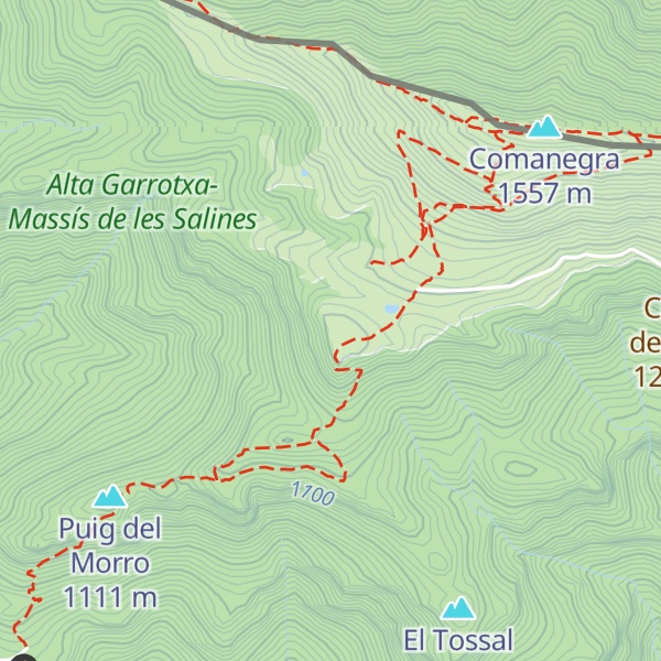 Map of Puig Ferriol