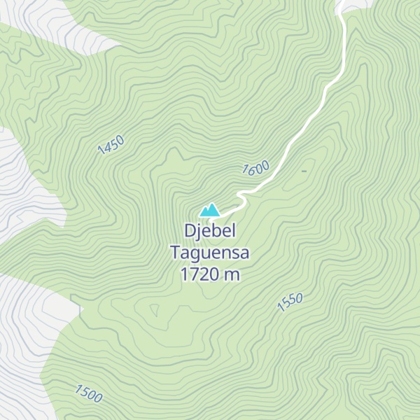 Map of Djebel Taguensa