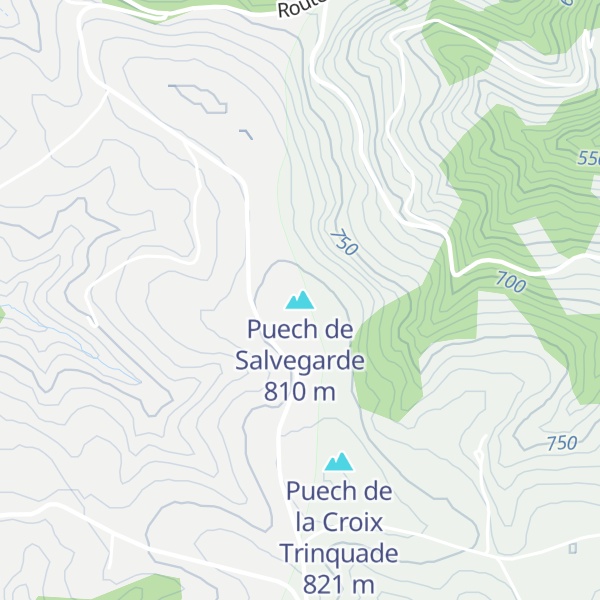 Map of Puech de Salvegarde