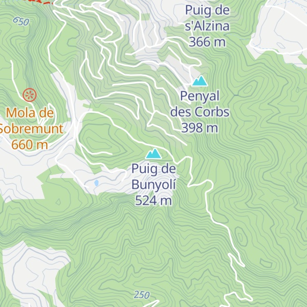 Map of Puig de Bunyolí