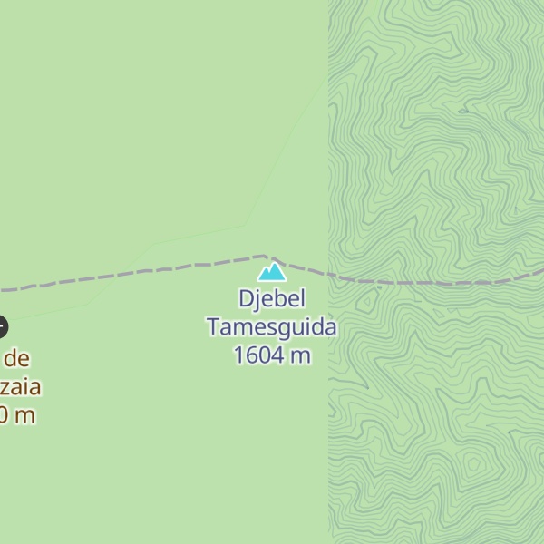 Map of Djebel Tamesguida