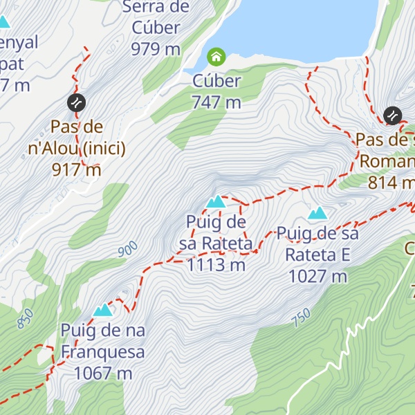Map of Puig de sa Rateta S