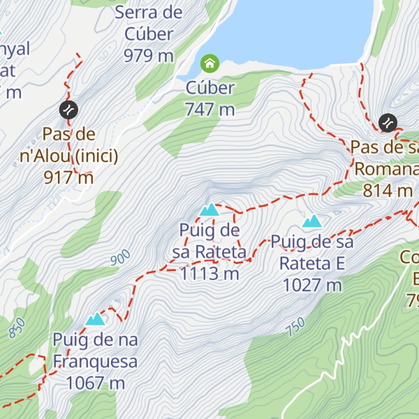 Map of Puig de sa Rateta