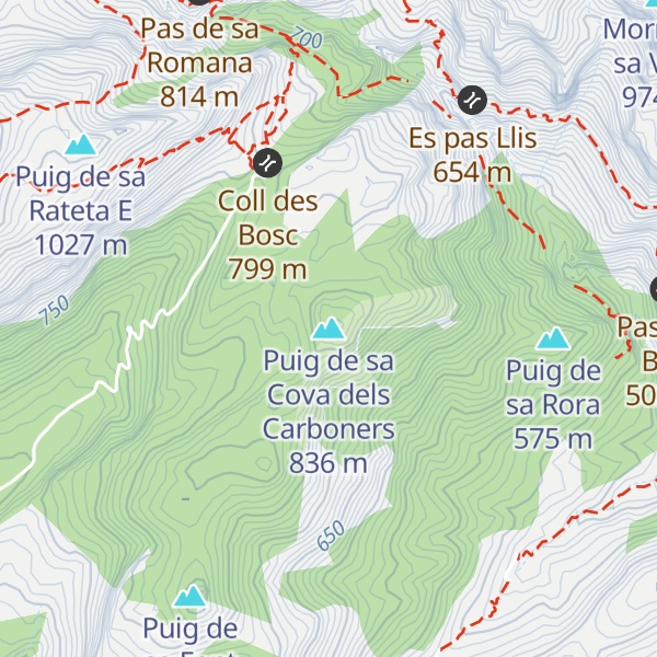 Map of Puig de sa Cova dels Carboners
