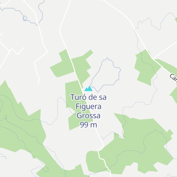 Map of Turó de sa Figuera Grossa