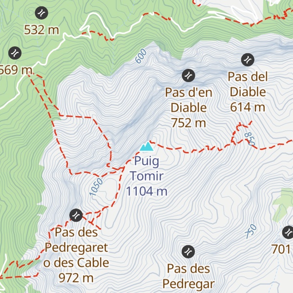 Map of Puig Tomir