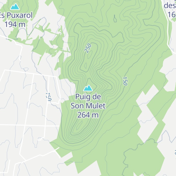 Map of Puig de Son Mulet