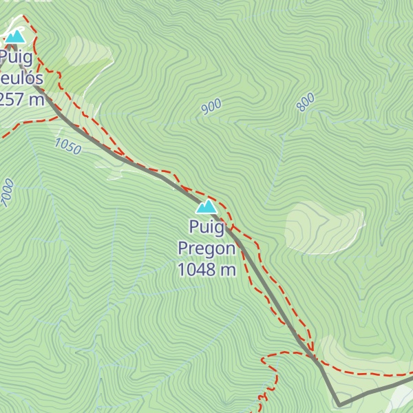 Map of Puig Pregon