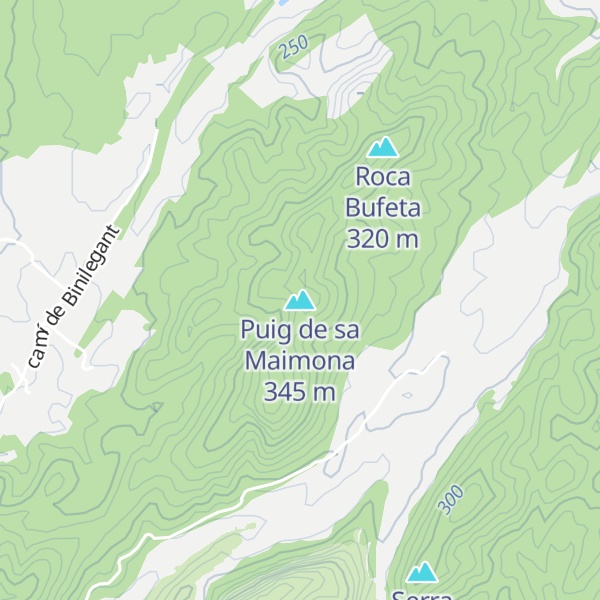 Map of Puig de sa Maimona