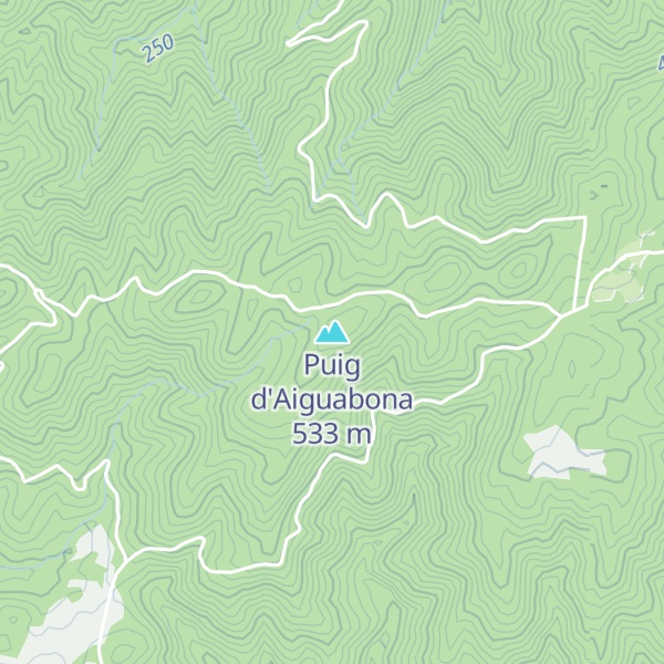 Map of Puig d'Aiguabona