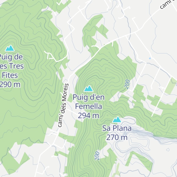 Map of Puig d'en Femella