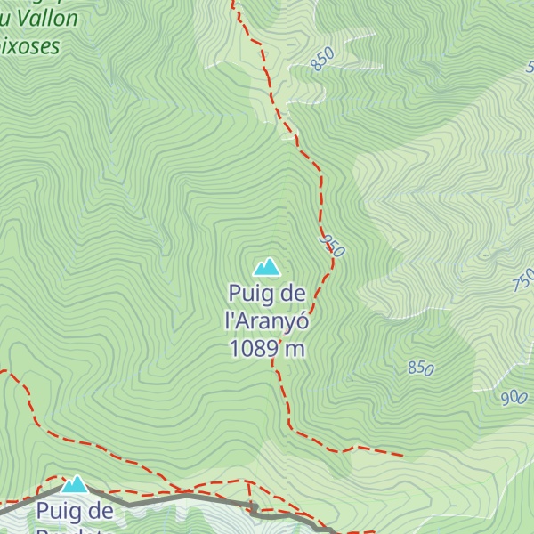 Map of Puig de l'Aranyó