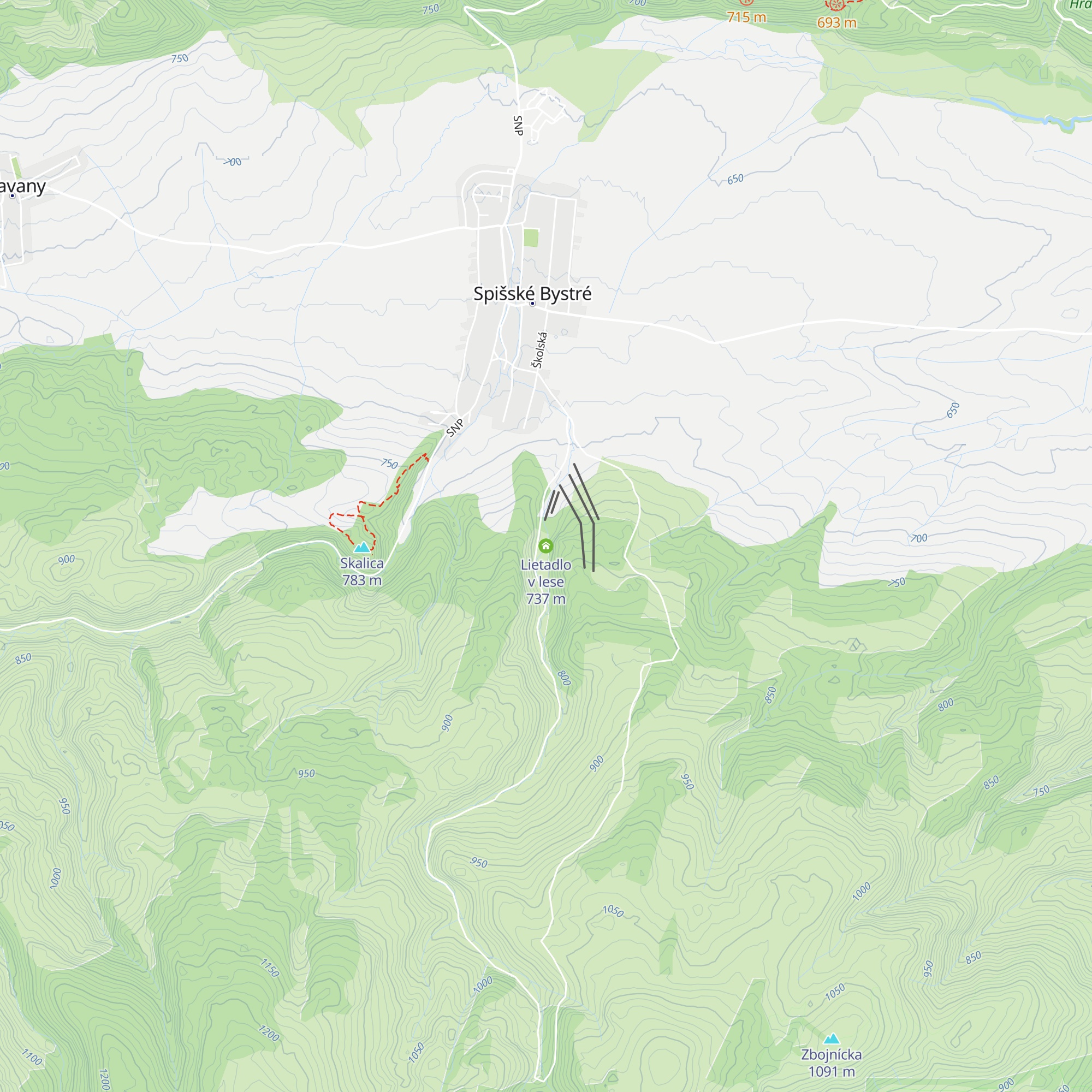 Lietadlo v lese map