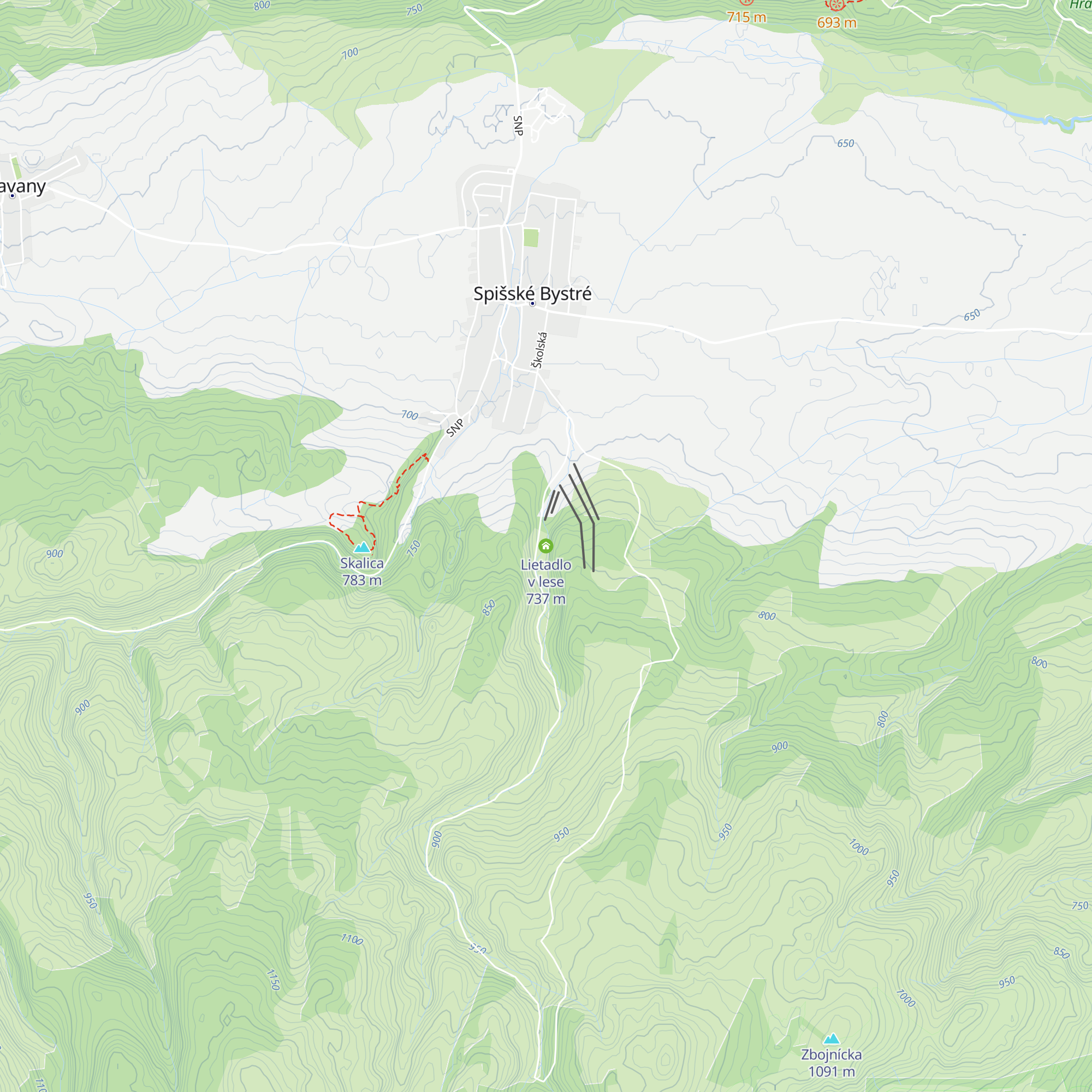 Lietadlo v lese map