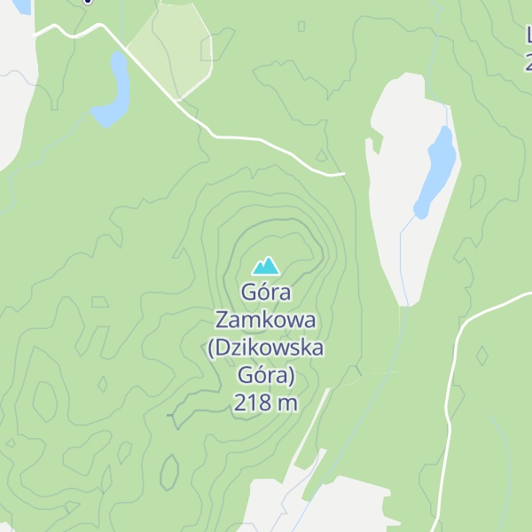 Map of Góra Zamkowa (Dzikowska Góra)