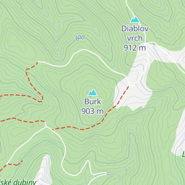 Map of Burk