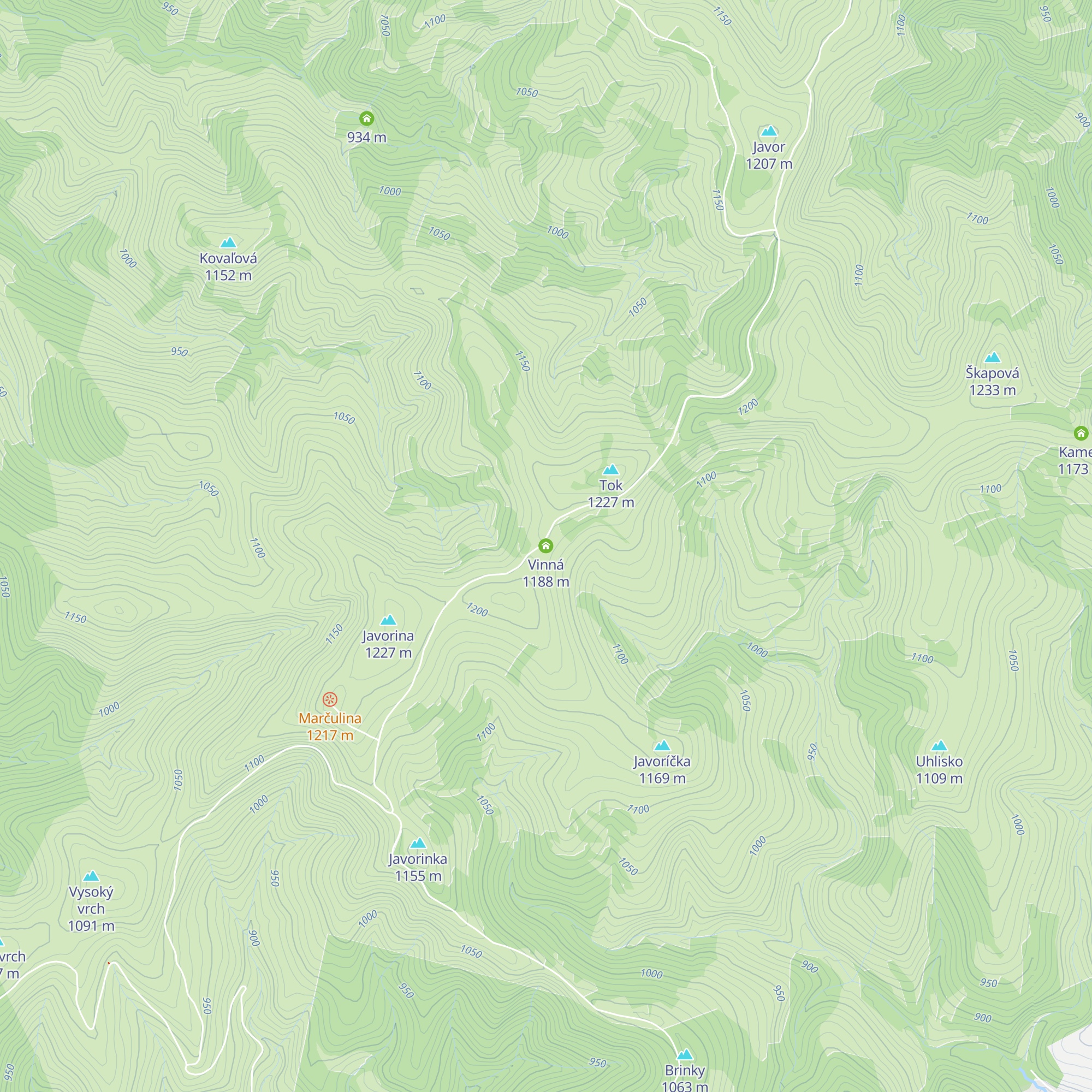 Vinná map