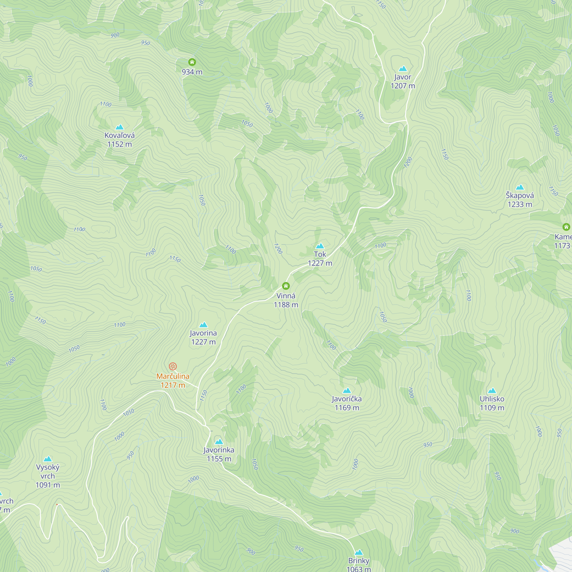 Vinná map