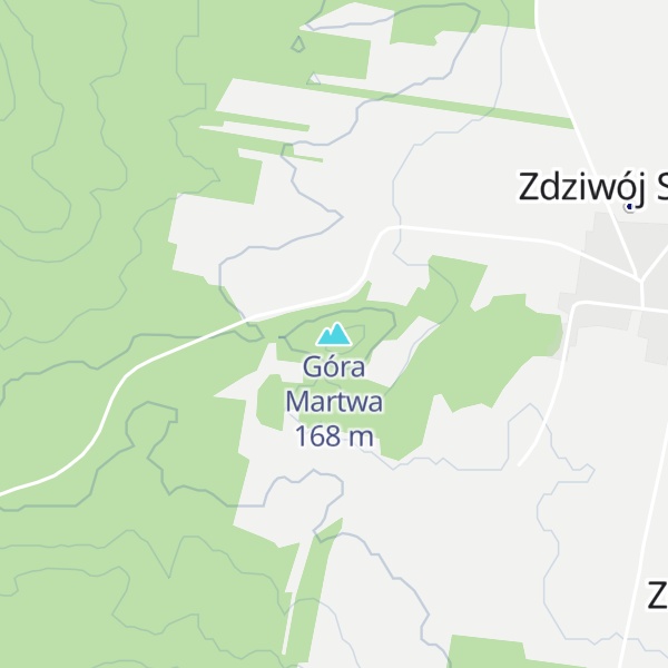Map of Góra Martwa