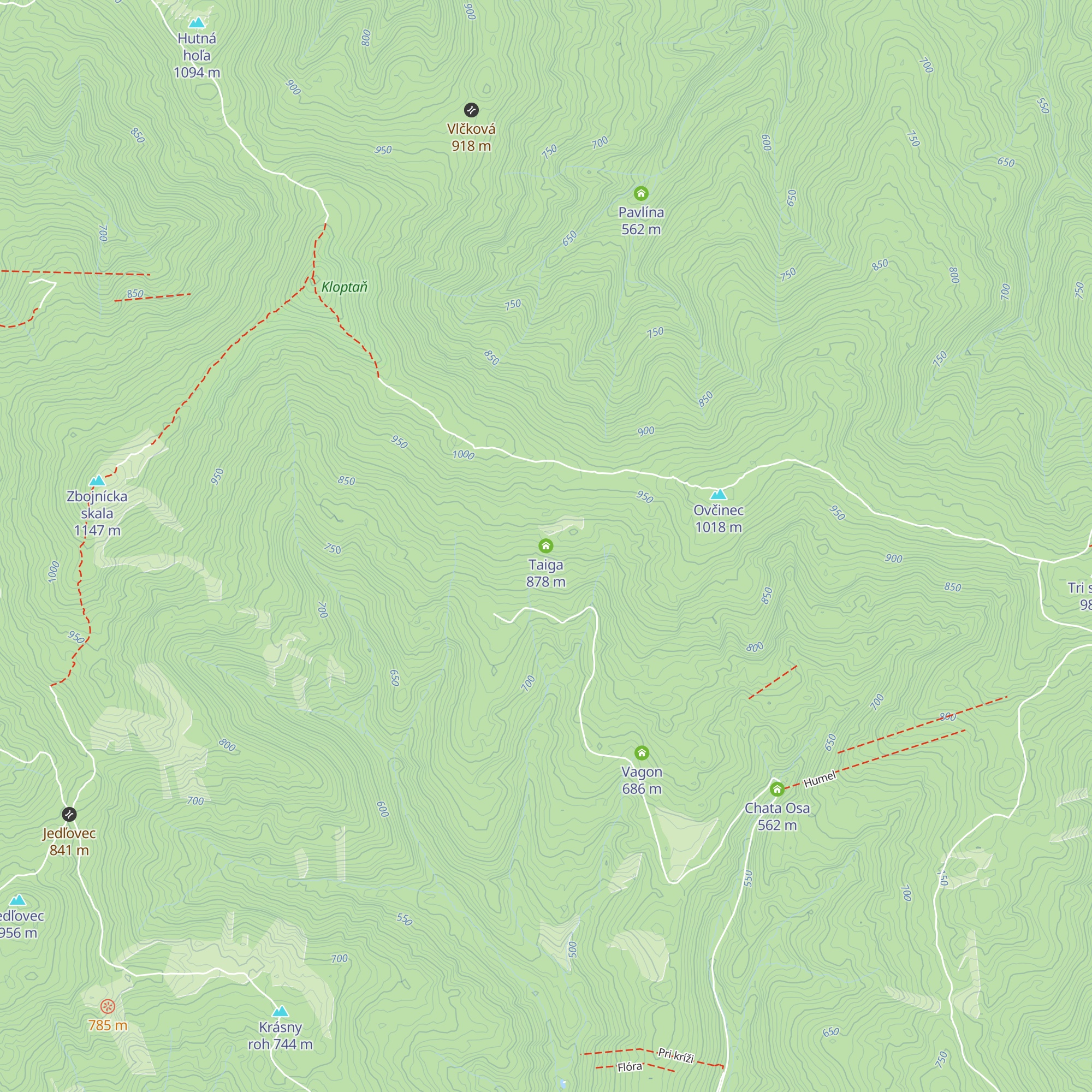Taiga map