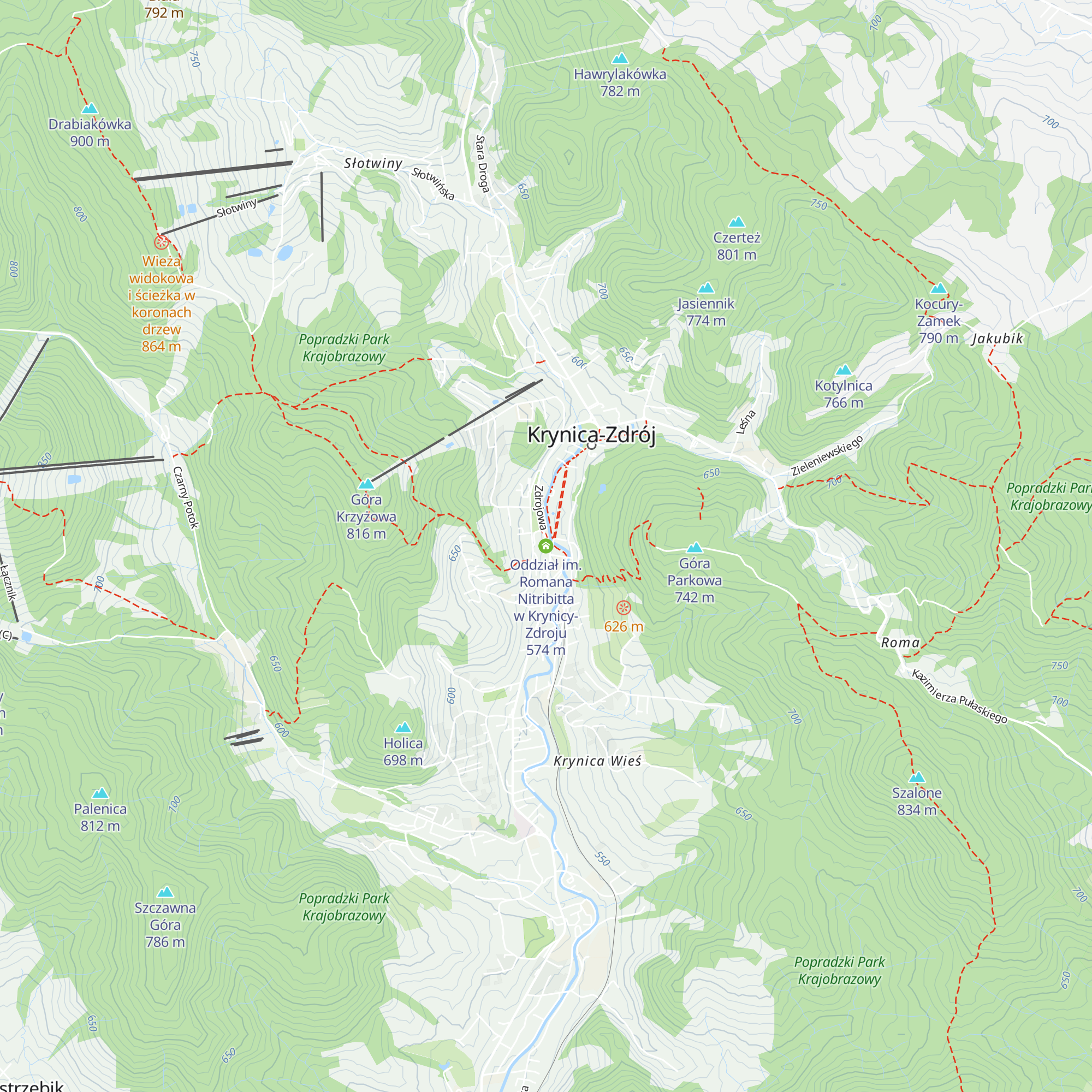 Oddział im. Romana Nitribitta w Krynicy-Zdroju map