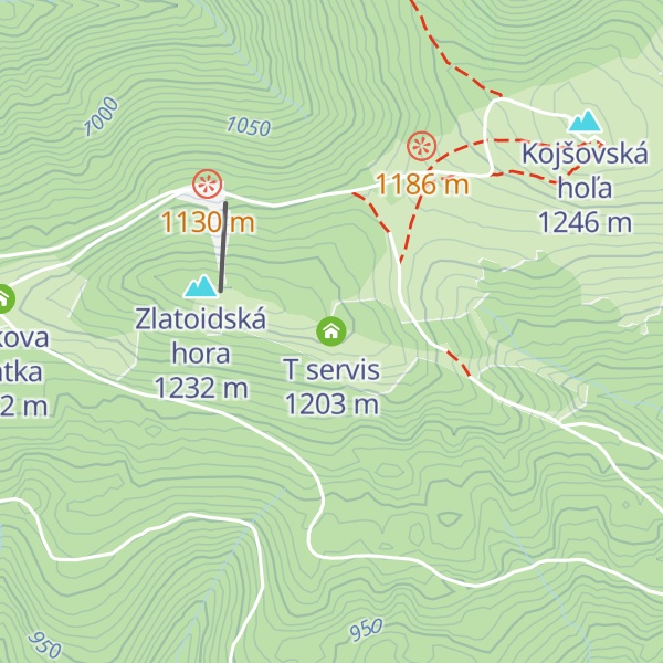 Map of T servis