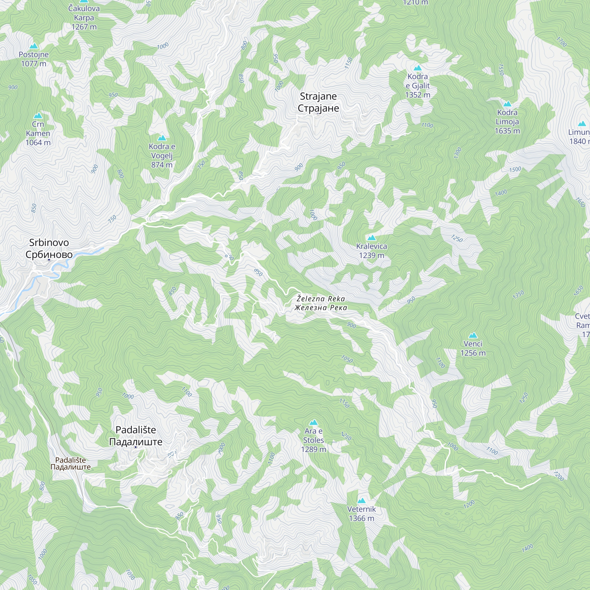 Zhelezna Reka map
