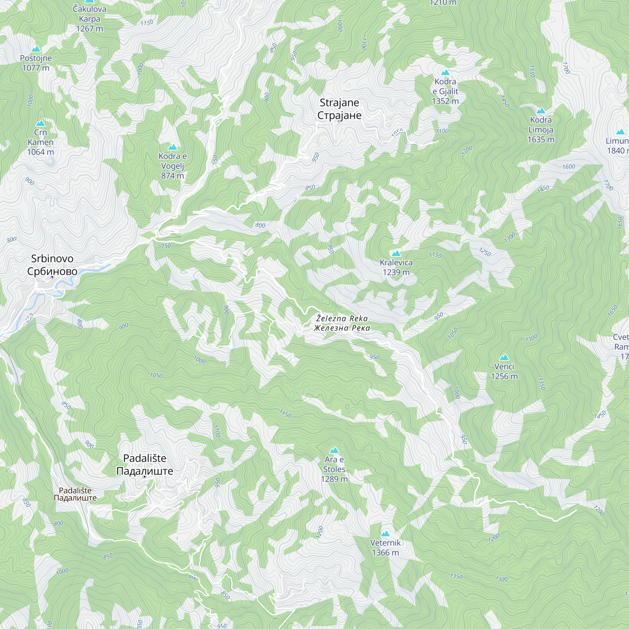 Zhelezna Reka map