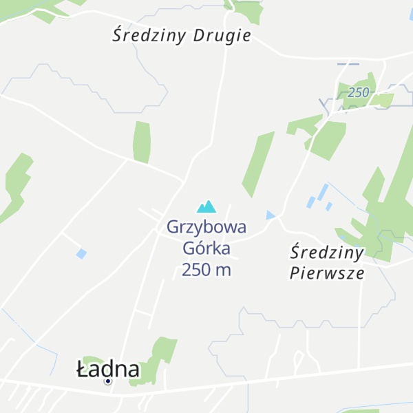 Map of Grzybowa Górka