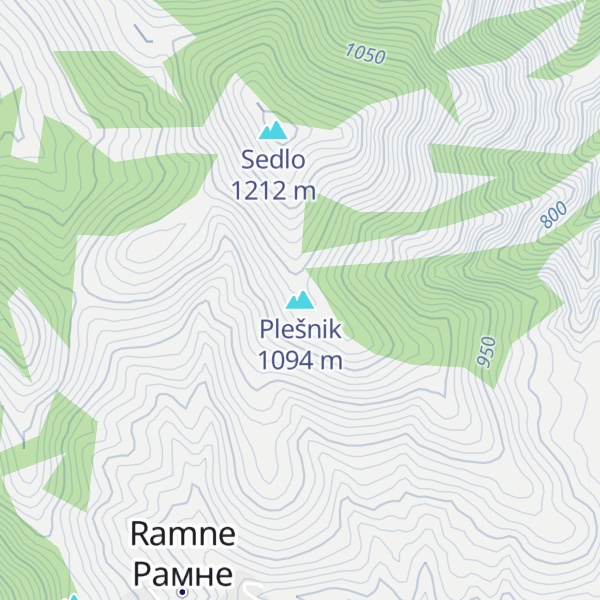Map of Plešnik
