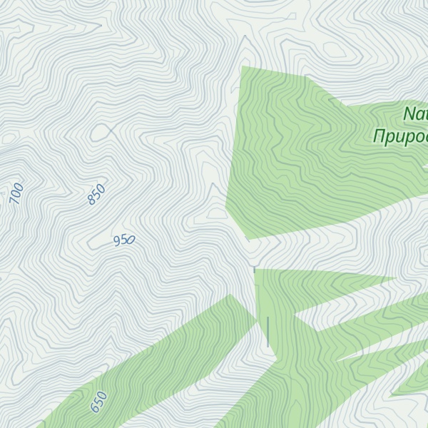 Map of Despotov Bor