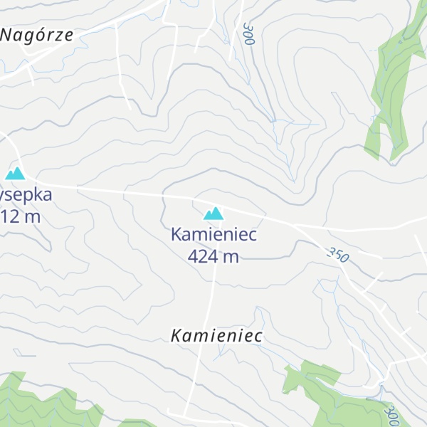 Map of Kamieniec
