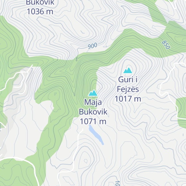 Map of Maja Bukovik