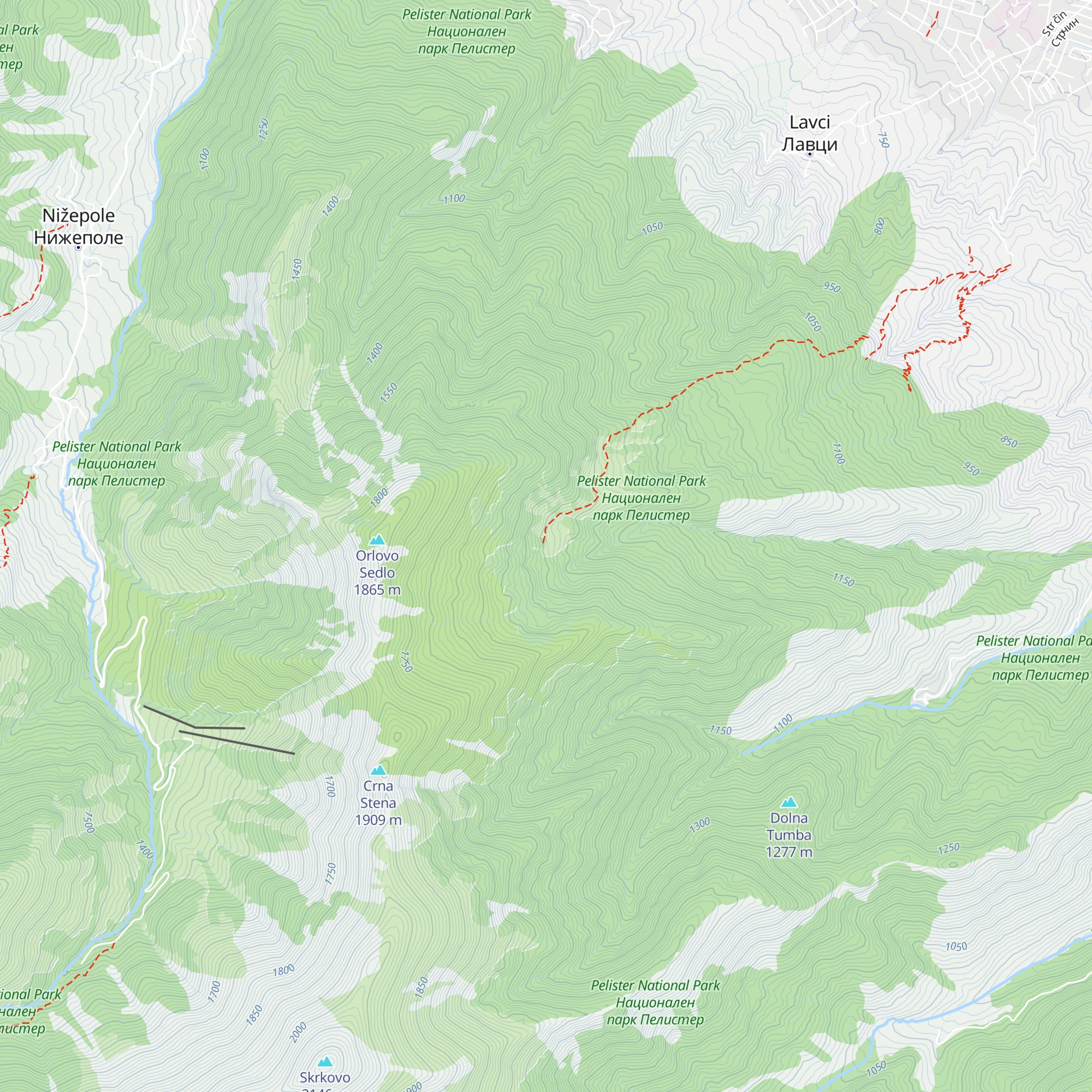 Neolica map