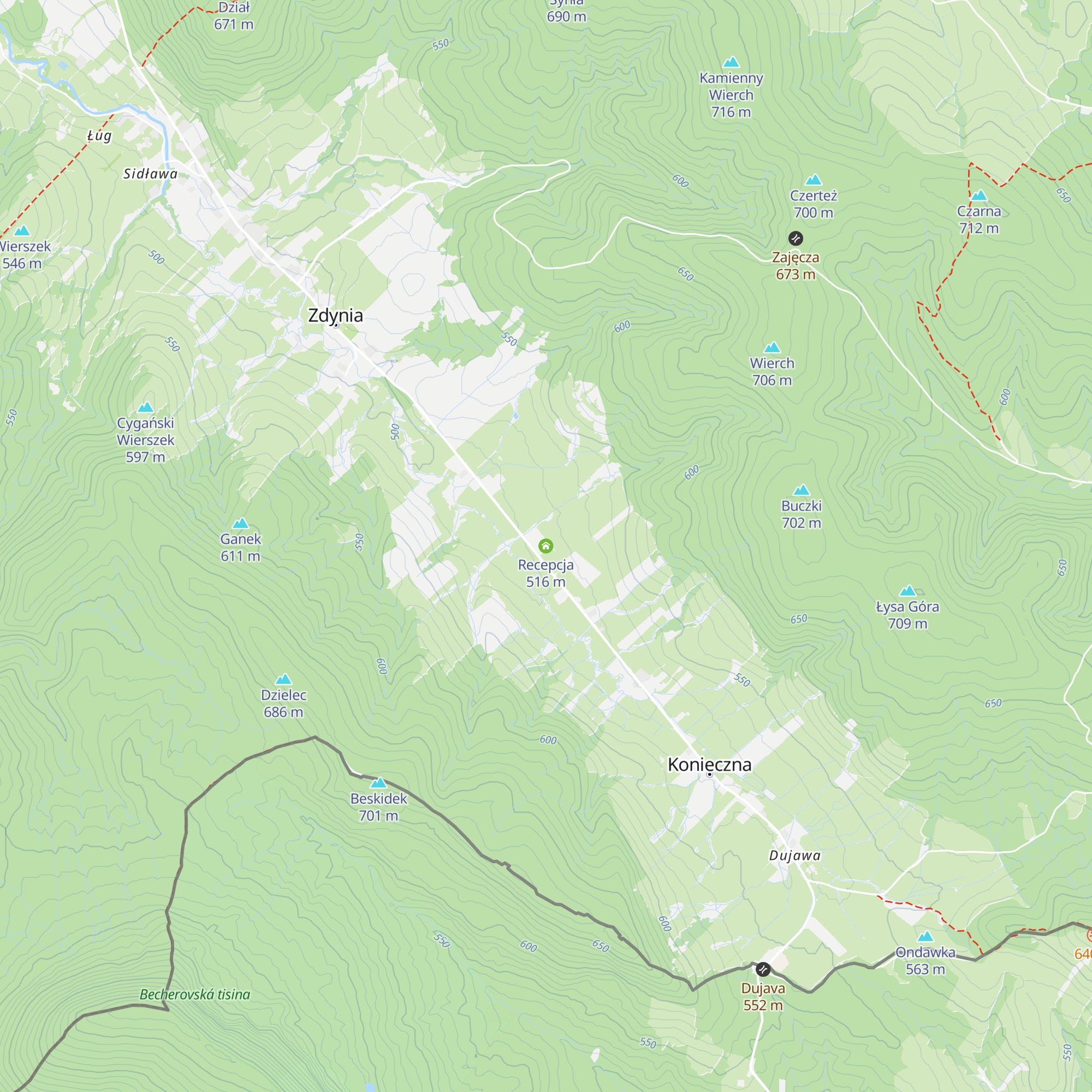 Recepcja map
