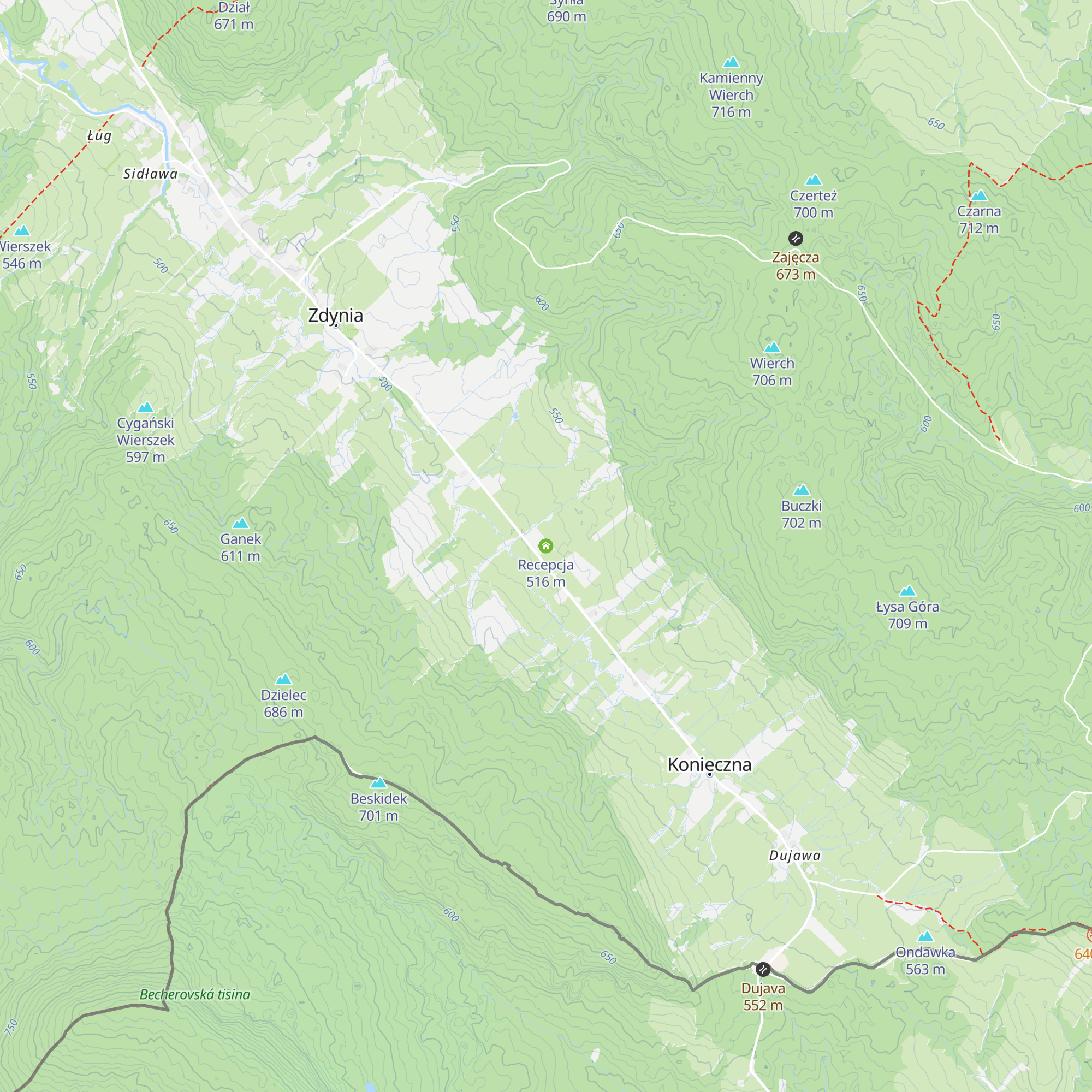 Recepcja map