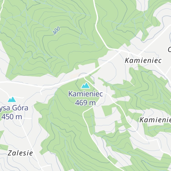Map of Kamieniec