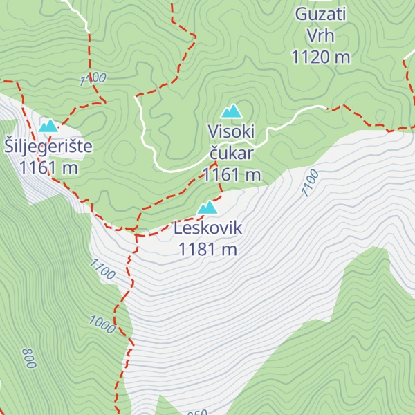 Map of Leskovik