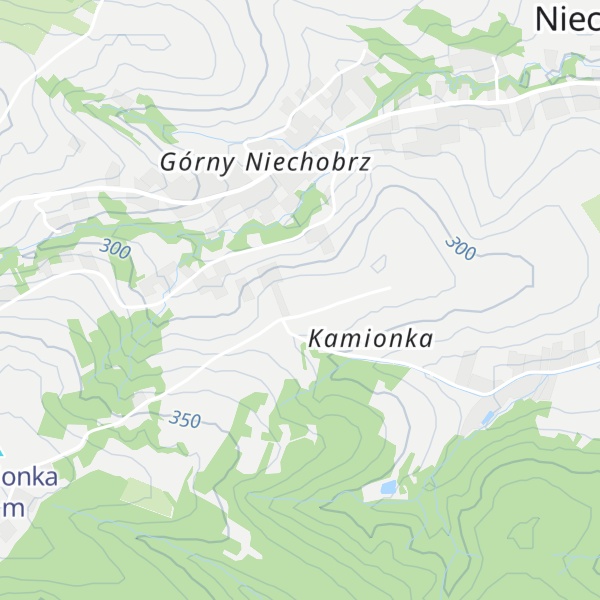 Map of Dział